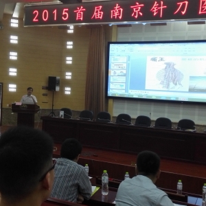 王学昌主任在2015首届南京针刀医学高峰论坛