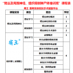 “臂丛及周围神经、组织瓣新鲜尸体培训班”课程表