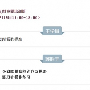 2017中国颈肩腰腿痛论坛会前弧刃针专题培训班