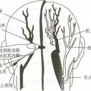 枕大神经痛的原因是什么?