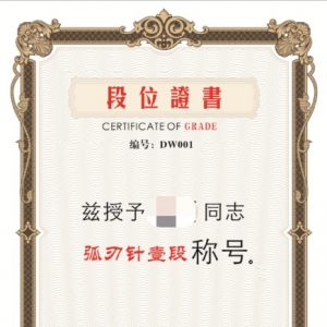 弧刃针段位评选定级实施方案 (征求意见稿)