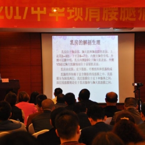 2017中国弧刃针年会夏世宏：弧刃针治疗乳腺增生