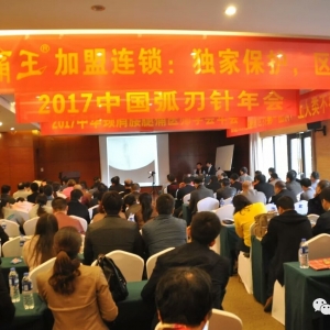 2017中国弧刃针年会刘京合：寒湿型膝痹的弧刃针诊疗思路