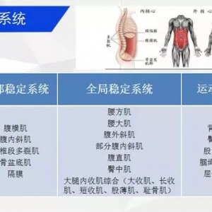 注意！这些情况的腰痛会与核心肌力有关