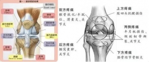 髌股关节疼痛综合征(PFPS)的病因、症状及体征介绍