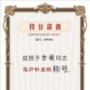弧刃针段位评选定级实施方案 （试行）